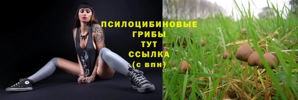 MDMA Premium VHQ Бугульма
