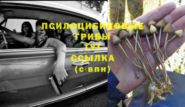 jwh Бородино